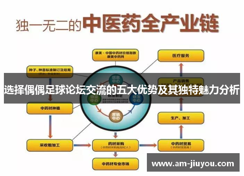 选择偶偶足球论坛交流的五大优势及其独特魅力分析