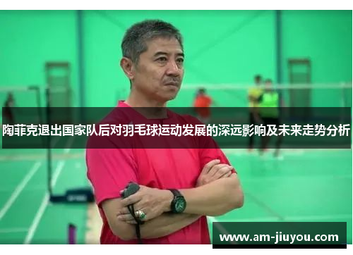 陶菲克退出国家队后对羽毛球运动发展的深远影响及未来走势分析 陶菲克退出国家队后对羽毛球运动发展的深远影响及未来走势分析
