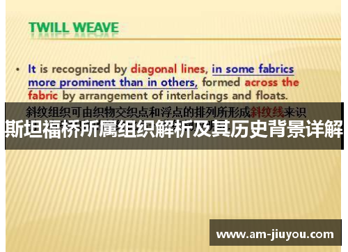 斯坦福桥所属组织解析及其历史背景详解