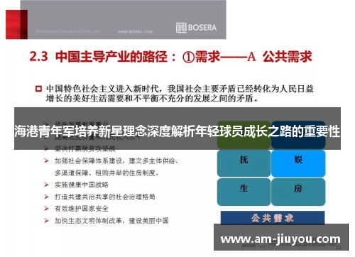 海港青年军培养新星理念深度解析年轻球员成长之路的重要性 海港青年军培养新星理念深度解析年轻球员成长之路的重要性
