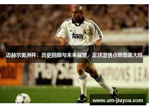 迈赫尔美洲杯：历史回顾与未来展望，足球激情点燃南美大陆