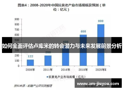 如何全面评估卢库米的转会潜力与未来发展前景分析 如何全面评估卢库米的转会潜力与未来发展前景分析