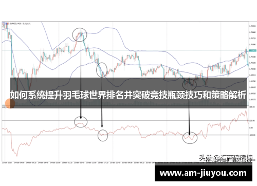 如何系统提升羽毛球世界排名并突破竞技瓶颈技巧和策略解析