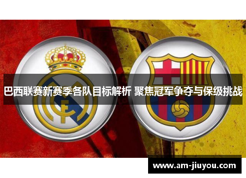 巴西联赛新赛季各队目标解析 聚焦冠军争夺与保级挑战 巴西联赛新赛季各队目标解析 聚焦冠军争夺与保级挑战
