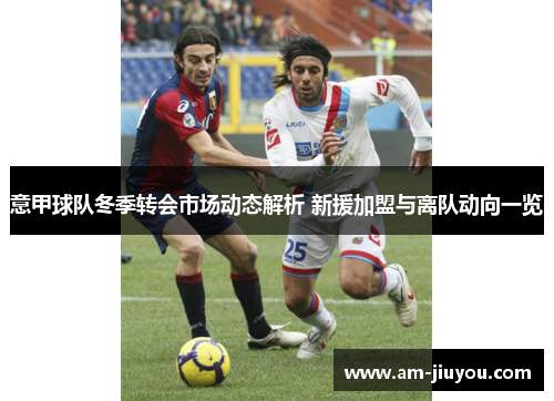 意甲球队冬季转会市场动态解析 新援加盟与离队动向一览