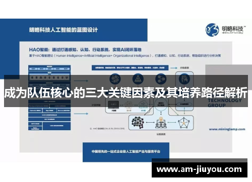 成为队伍核心的三大关键因素及其培养路径解析