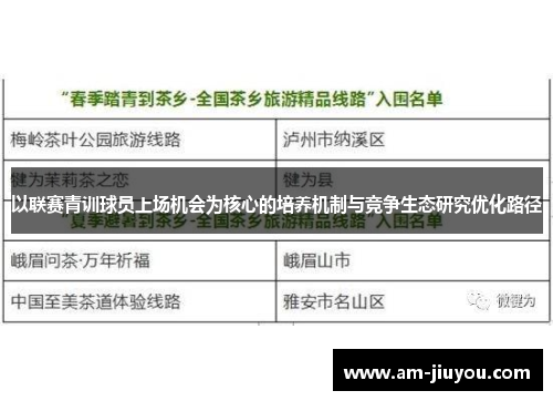以联赛青训球员上场机会为核心的培养机制与竞争生态研究优化路径