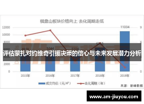 评估蒙扎对约维奇引援决策的信心与未来发展潜力分析 评估蒙扎对约维奇引援决策的信心与未来发展潜力分析
